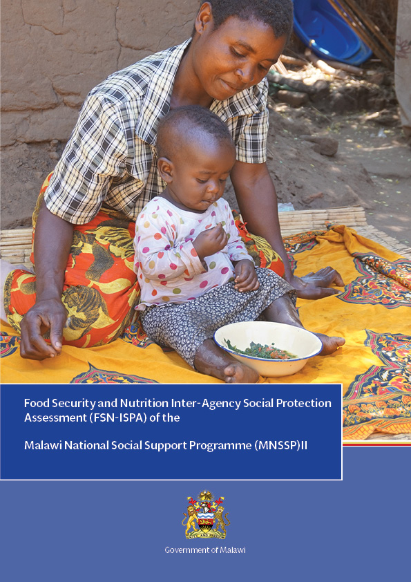 Malawi National Social Protection Programme Full Report and Policy Brief